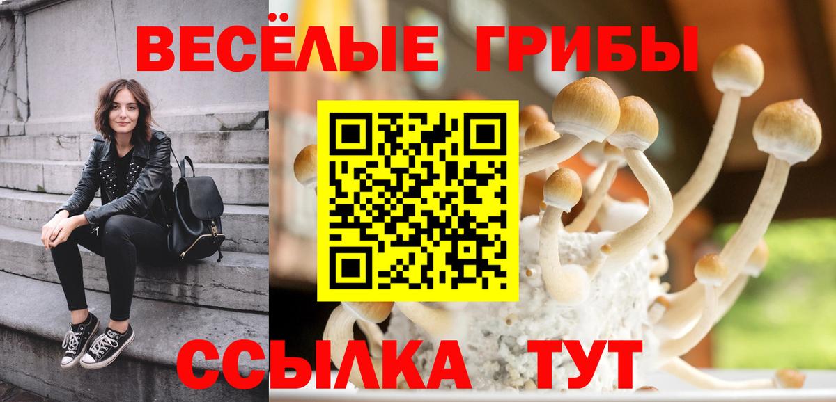 Псилоцибиновые грибы MAGIC MUSHROOMS  Вход с VPN  Галлюциногенные грибы Psilocybine cubensis  Гатчина 
